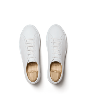 Oaxen II – White Calf