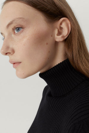 Black | The Merino Wool Ribbed Roll neck