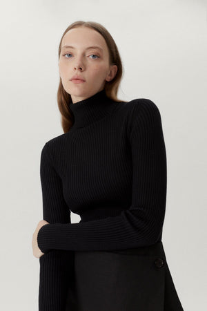 Black | The Merino Wool Ribbed Roll neck