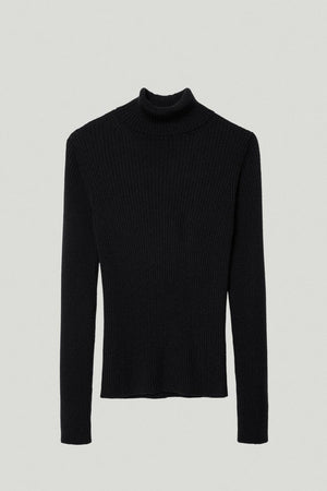 Black | The Merino Wool Ribbed Roll neck