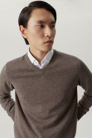 Brown Melange | The Ultrasoft V-Neck Sweater